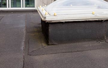 disadvantages of Treskillard flat roofs