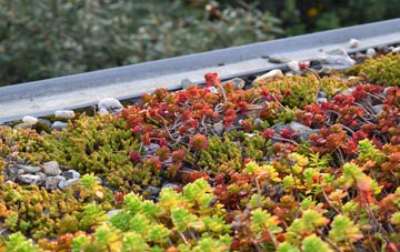 the cost of Treskillard green roof installation